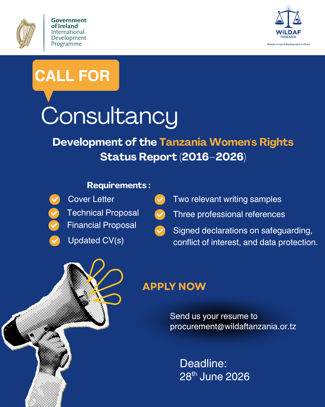 Call for Consultancy: Development of the Tanzania Women’s Rights Status Report (2016–2026)